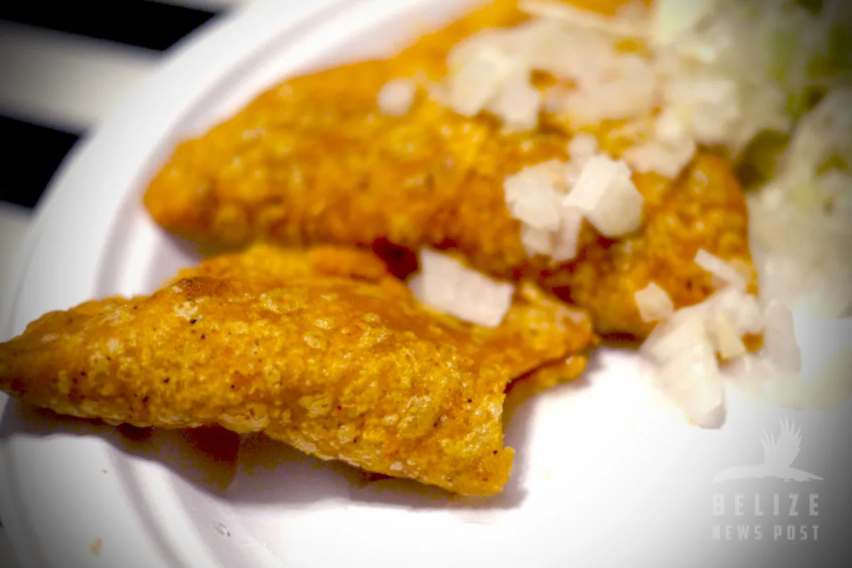 Belizean Empanadas Recipes