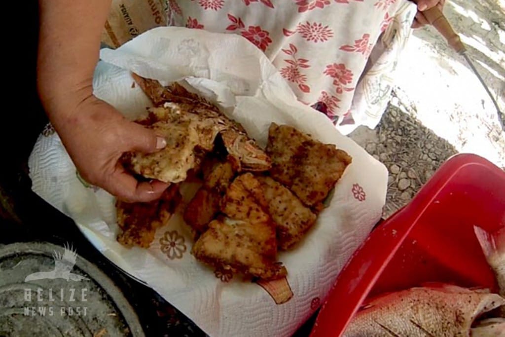 Fried Barracuda Recipe by Belize News Post - Fried Barracuda Steaks are Ready to Eat