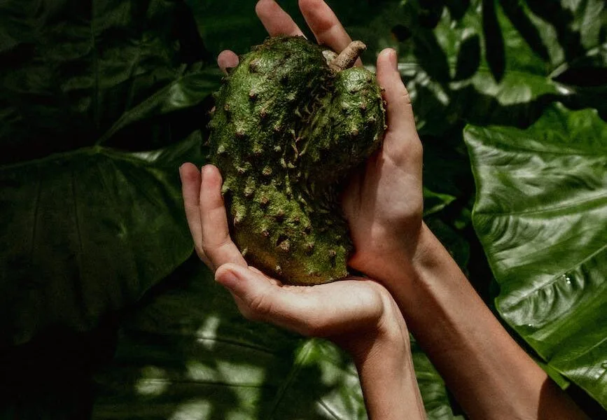 a person holding a fresh fruit