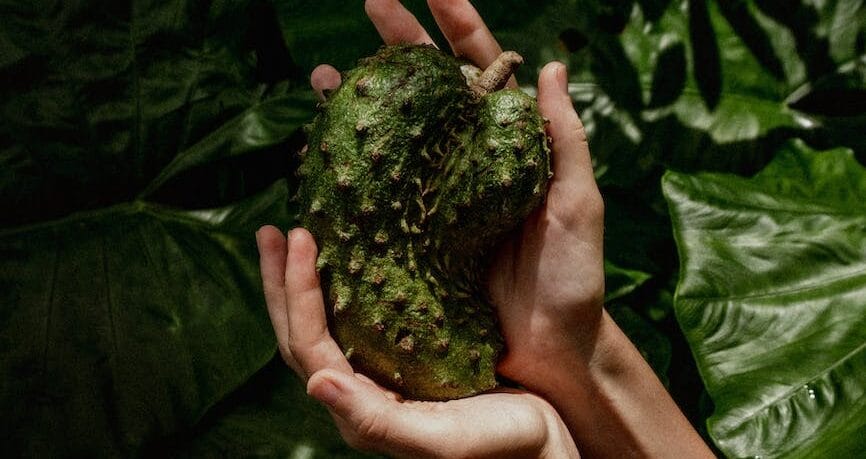 a person holding a fresh fruit