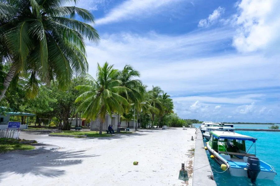 sea nature beach vacation