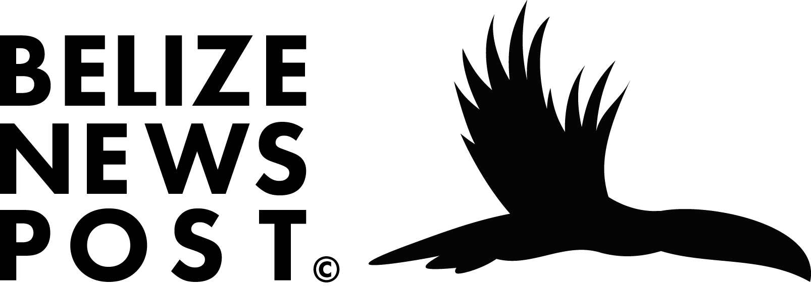 Belize News Post logo