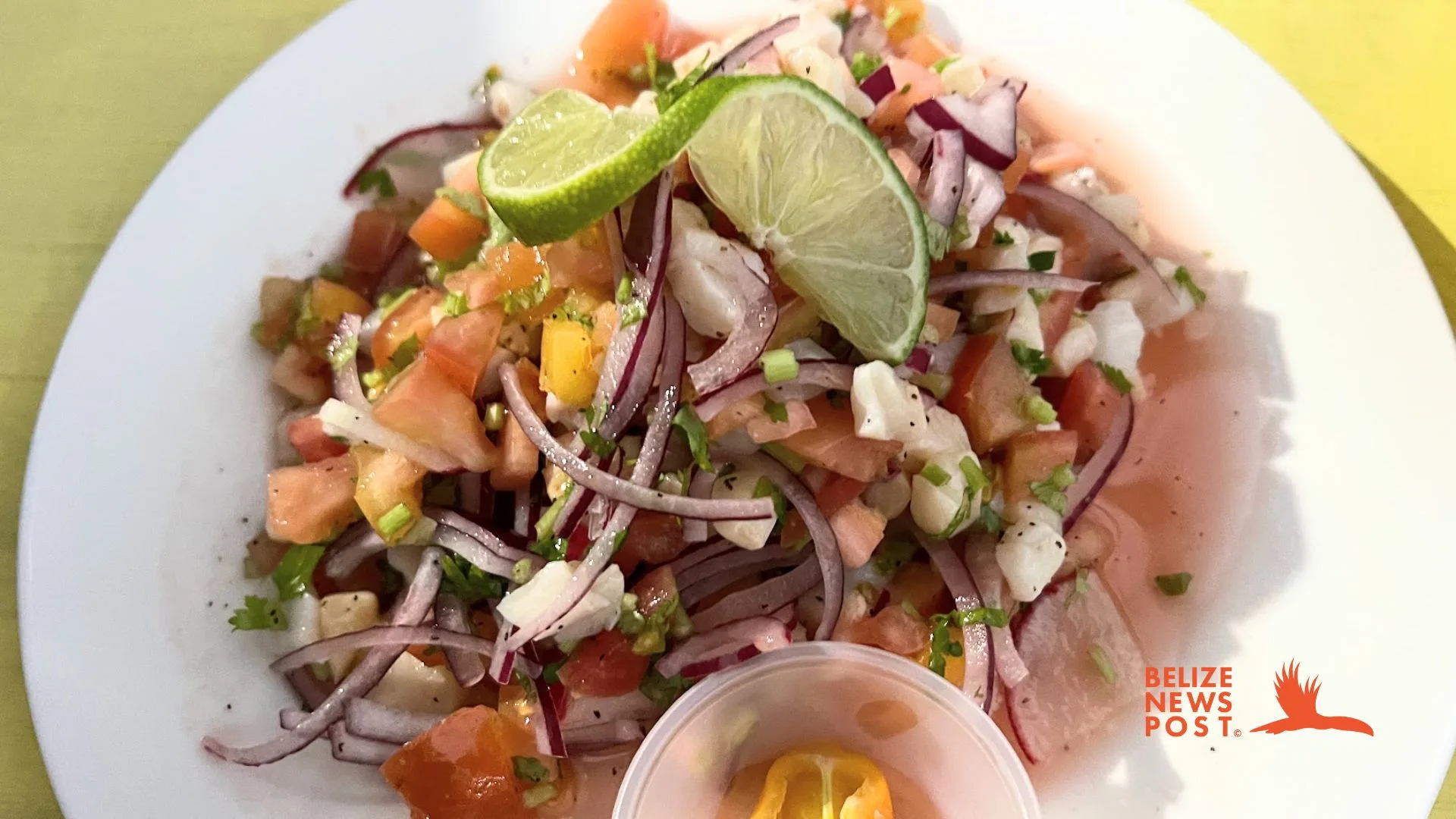 Conch Ceviche Recipe - Belizean Food Recipes - Belize News Post