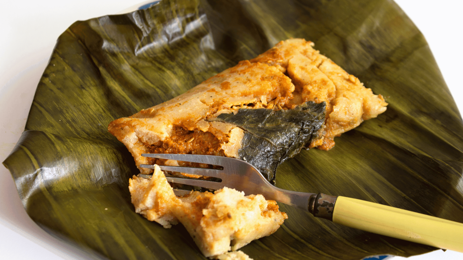 Dzotobichay Tamales Recipe