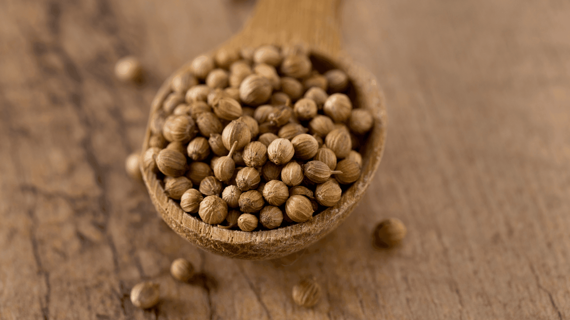 Recado Shell Mayan Recado Blanco Recipe - Belize News Post