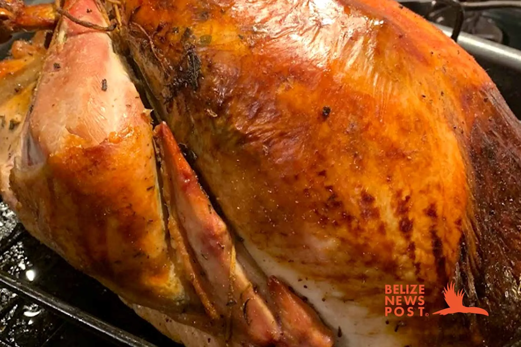 Belizean Turkey Dinner Recipe - Belize News Post