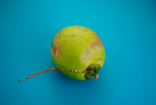Green Coconut for Belizean Stretch Mi Guts Recipe