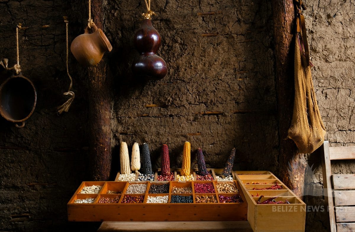 Wooden tray displaying varieties of Maya corn — traditional kitchen with clay pots, chulibuul cultural context, Belize