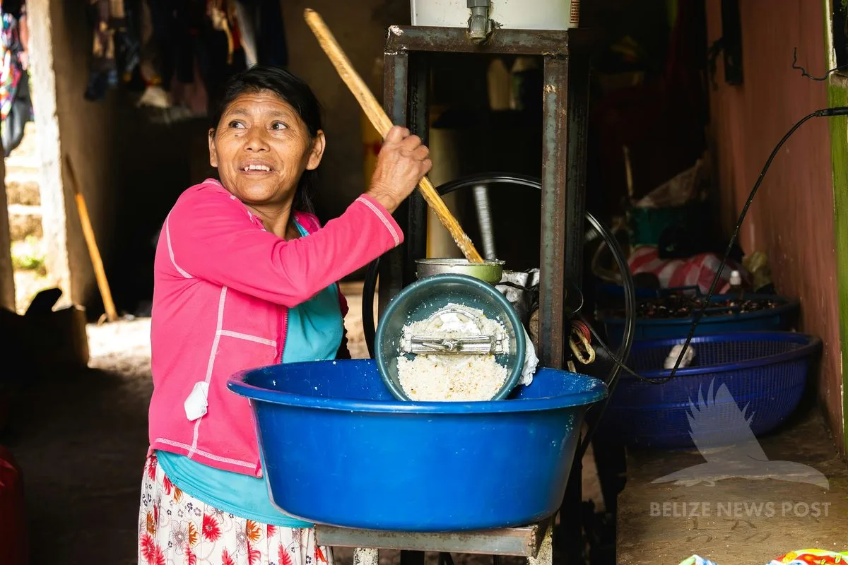 Woman grinding corn at a mill for fresh tortilla masa — orange walk tacos belize news post