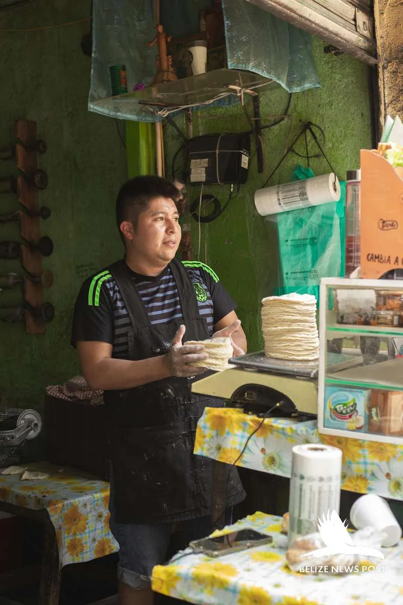 Tortilla maker handling fresh stacked corn tortillas — orange walk tacos belize news post