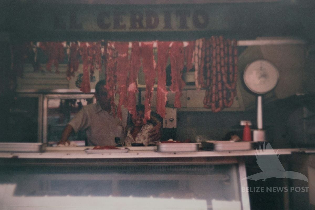 Butcher shop with pork cuts hanging, Yucatan-Belize border region — El Cerdito market stall