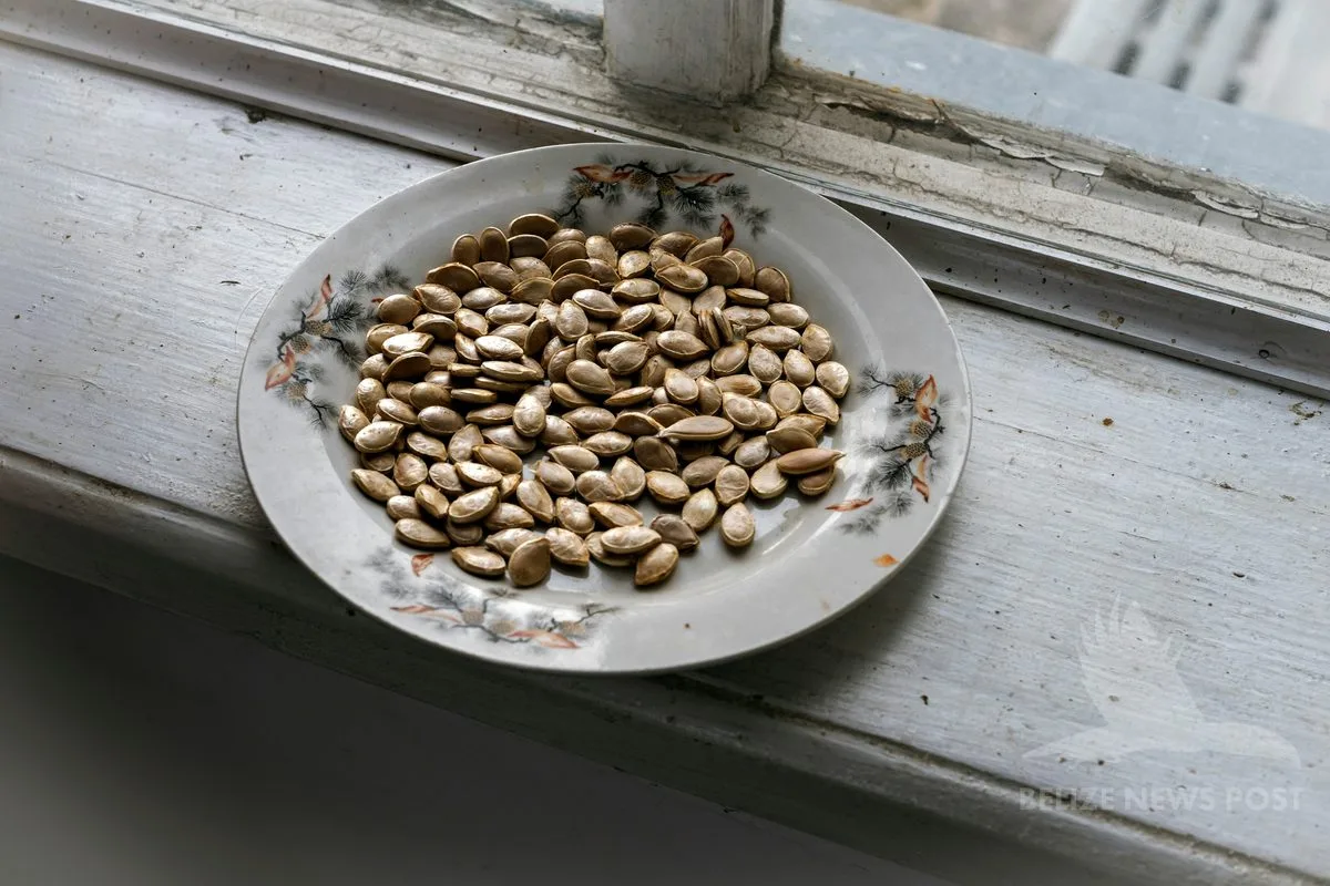raw pepitas (pumpkin seeds, sikil) on a plate — the key ingredient in toksel, the traditional filling for polcanes yucatecos