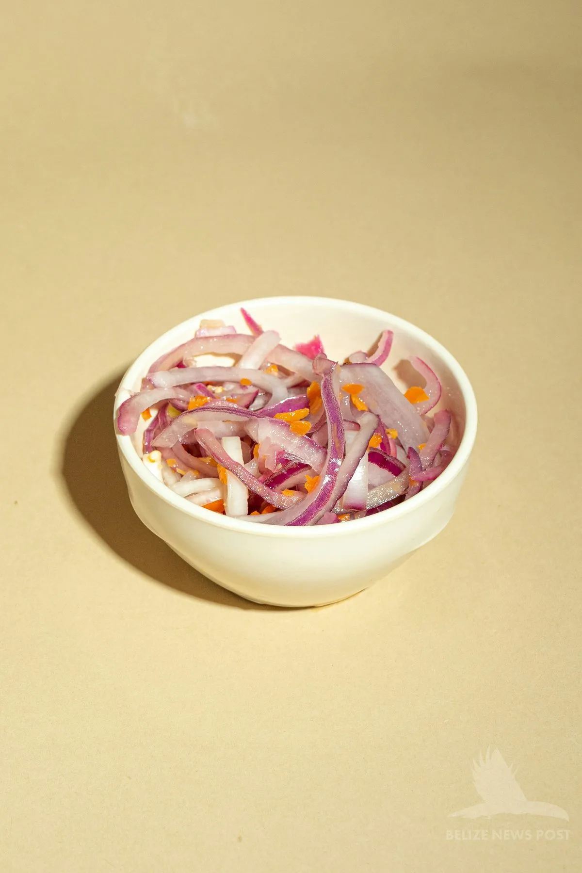 sliced red onion in a bowl — the base of salpicon, the classic topping for polcanes yucatecos