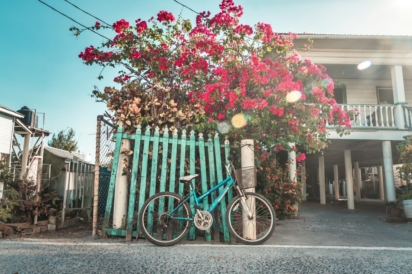 Quiet street on Útila island, Honduras with bougainvillea