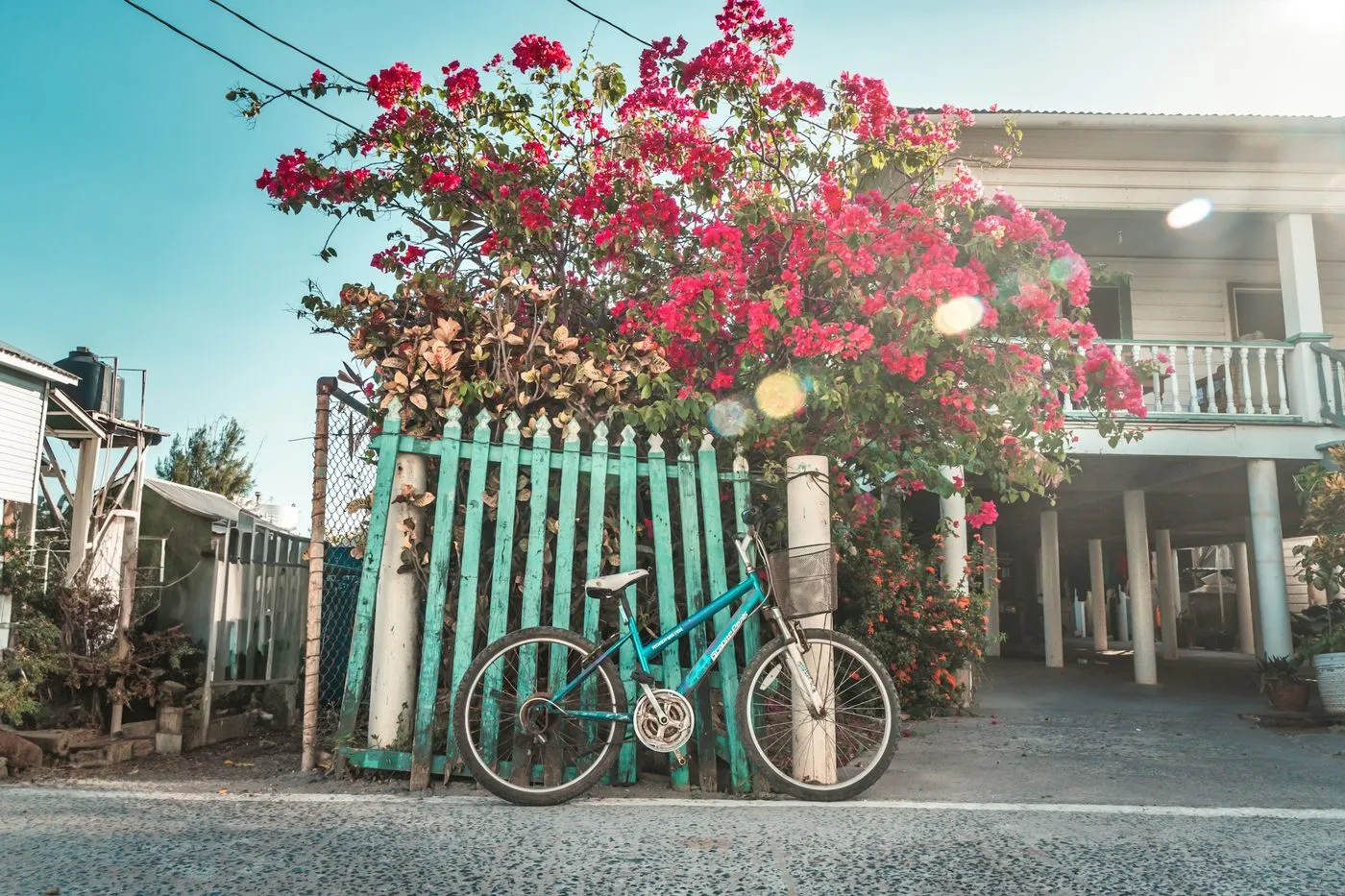 Quiet street on Útila island, Honduras with bougainvillea