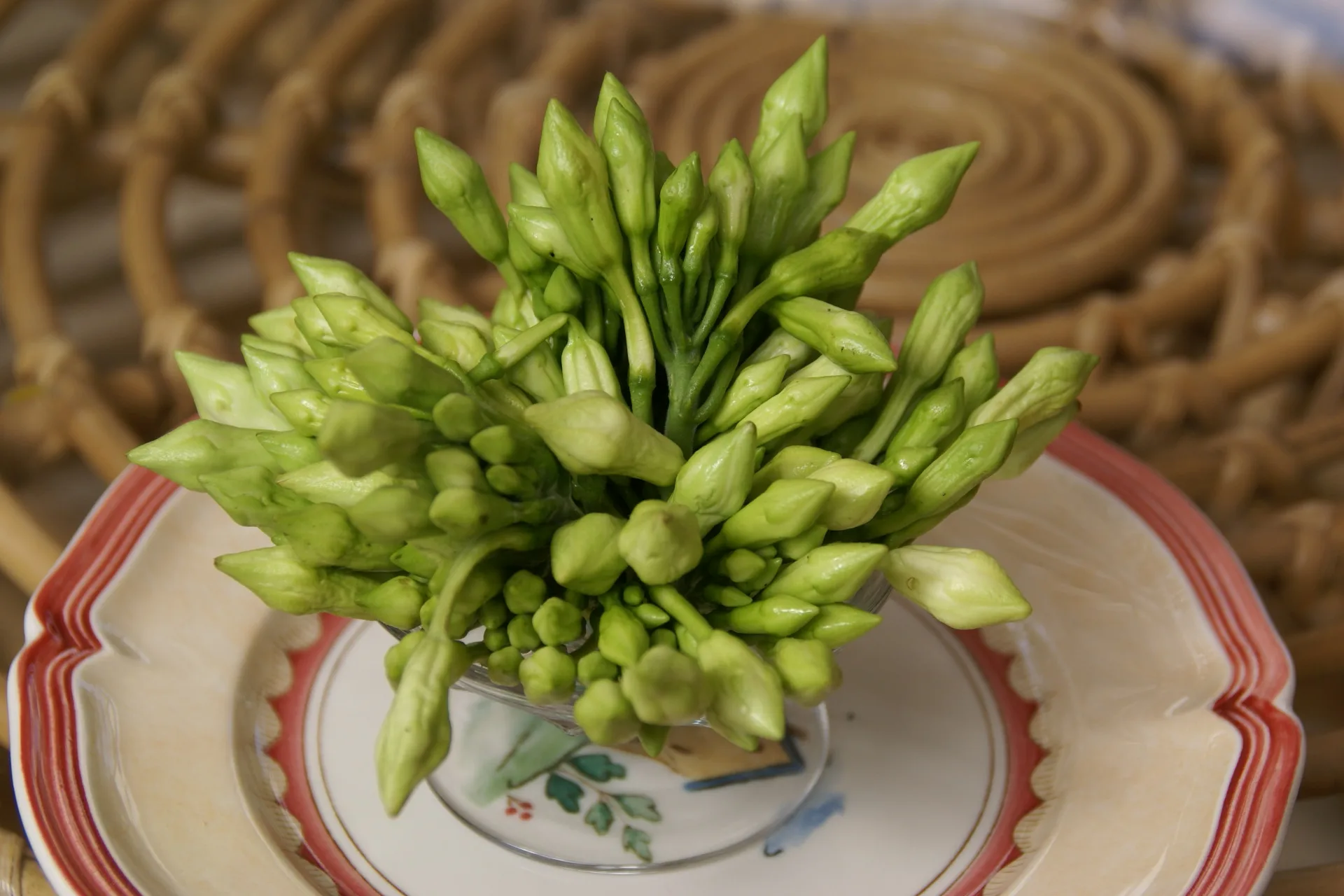 Fresh loroco flower buds, the Guatemalan finishing ingredient for pollo en crema