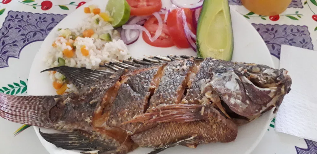 A whole fish fried crisp and golden, served with salad, the style of pescado frito hondureño