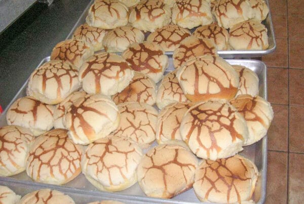 Honduran semitas, jam-layered lattice-topped sweet bakery pastry