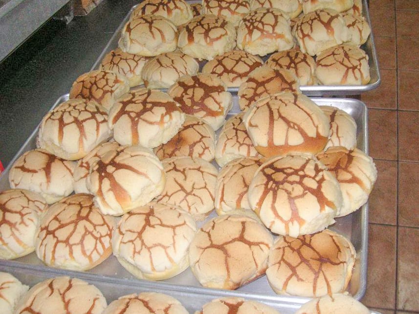 Honduran semitas, jam-layered lattice-topped sweet bakery pastry