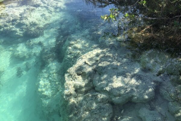 The turquoise Bacalar lagoon, Mexico
