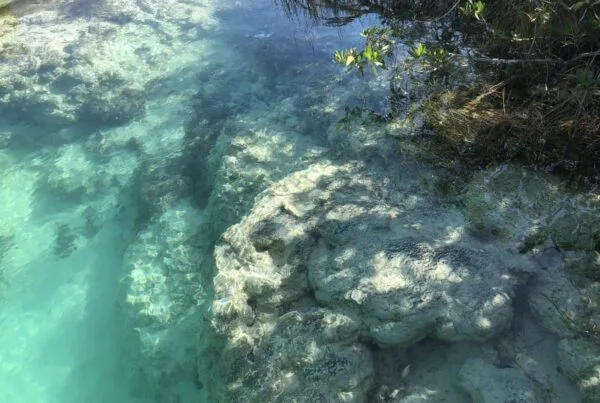 The turquoise Bacalar lagoon, Mexico