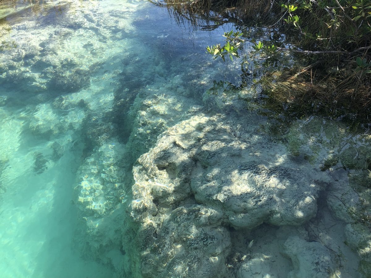 The turquoise Bacalar lagoon, Mexico