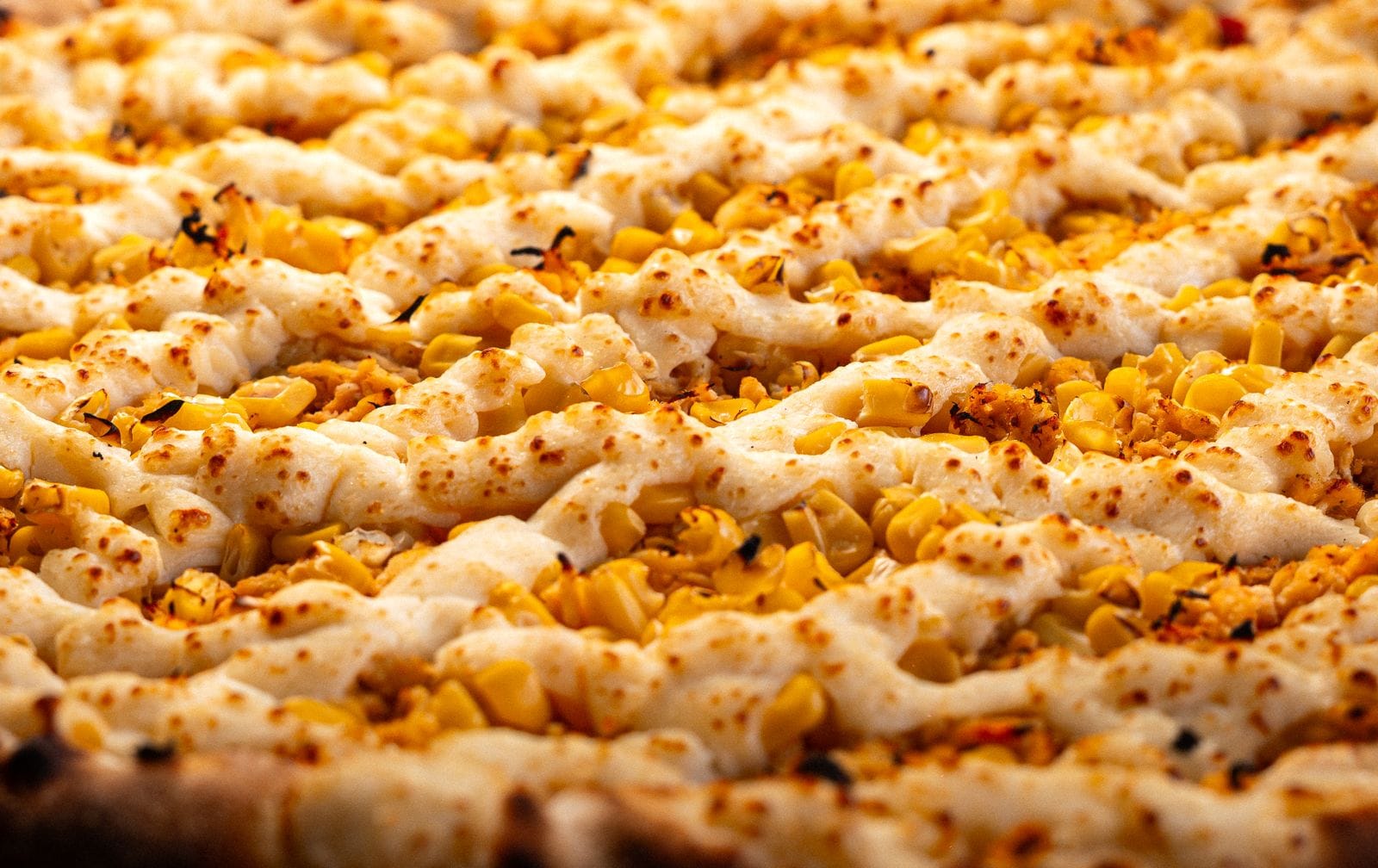 Golden baked corn and cheese cookie like a Honduran tustaca, served as a sweet coffee-time treat
