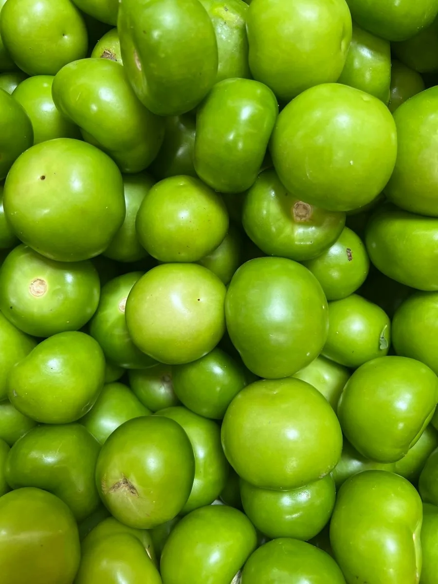 Fresh tomatillos, the green base of the sauce for Guatemalan jocón
