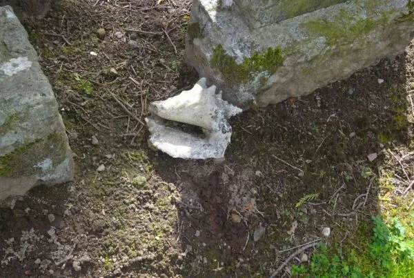 A queen conch shell, the conch used in Honduran sopa de caracol
