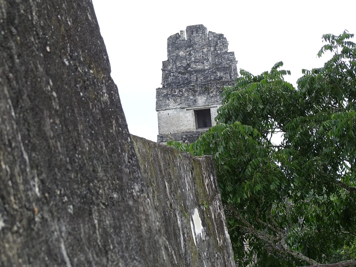 Temple I rising over the Gran Plaza at Tikal, Guatemala