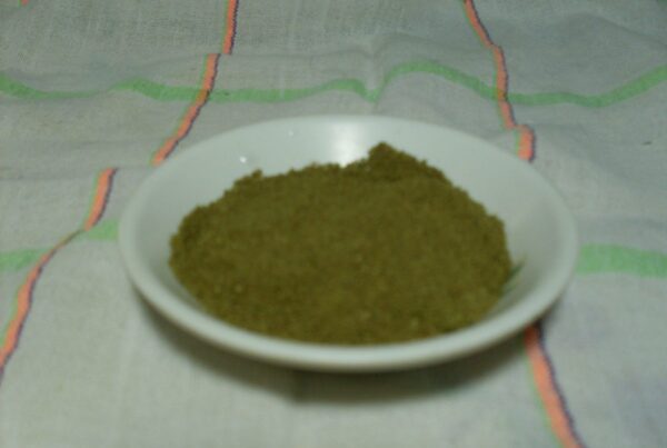 Alguashte, a Salvadoran toasted-and-ground squash-seed blend, the toasted-seed family behind relajo