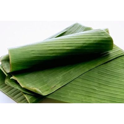Frozen banana leaves
