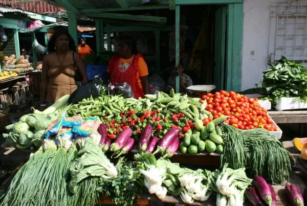 Purple eggplants, cabbage, tomatoes, and greens at a Caribbean produce market, ingredients used in Haitian legim