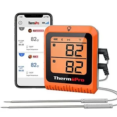 Leave-In Meat Thermometer