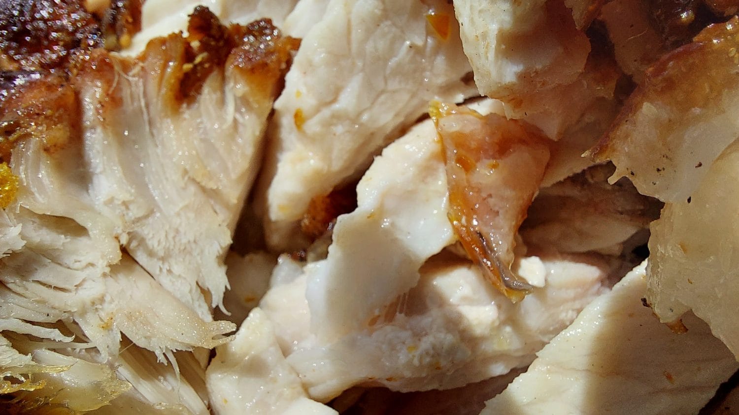 Roast pork sliced, showing crisp browned skin and pale interior