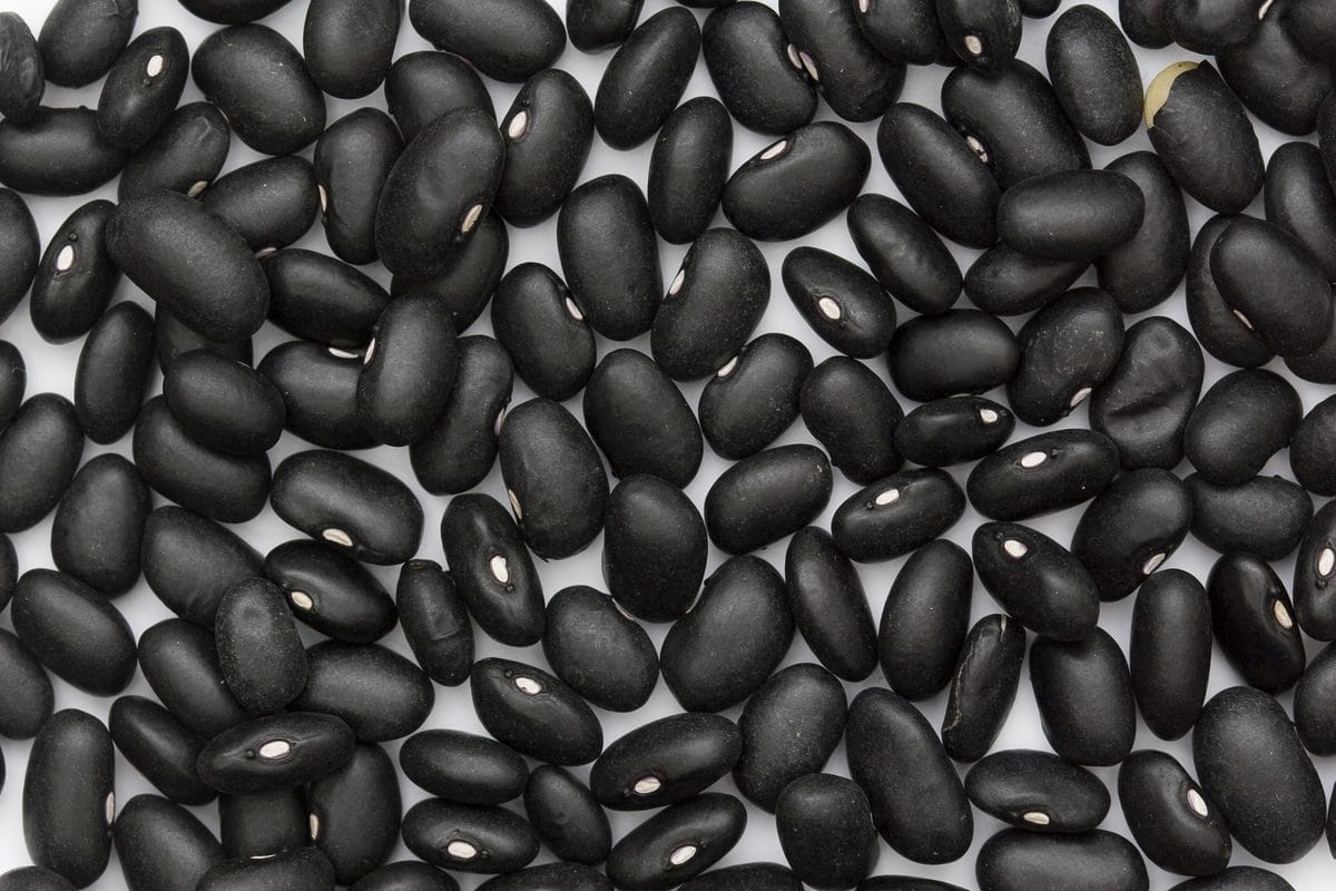 Dried black turtle beans