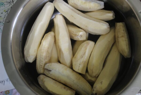 Peeled green bananas soaking in a pot of water, the first step in making guineitos en escabeche