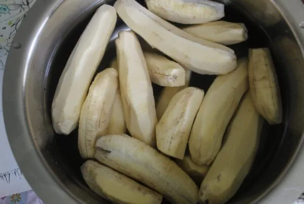 Peeled green bananas soaking in a pot of water, the first step in making guineitos en escabeche
