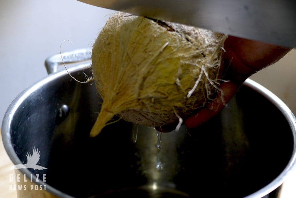 Cracking a coconut shell for this Belizean Powder Bun recipe.