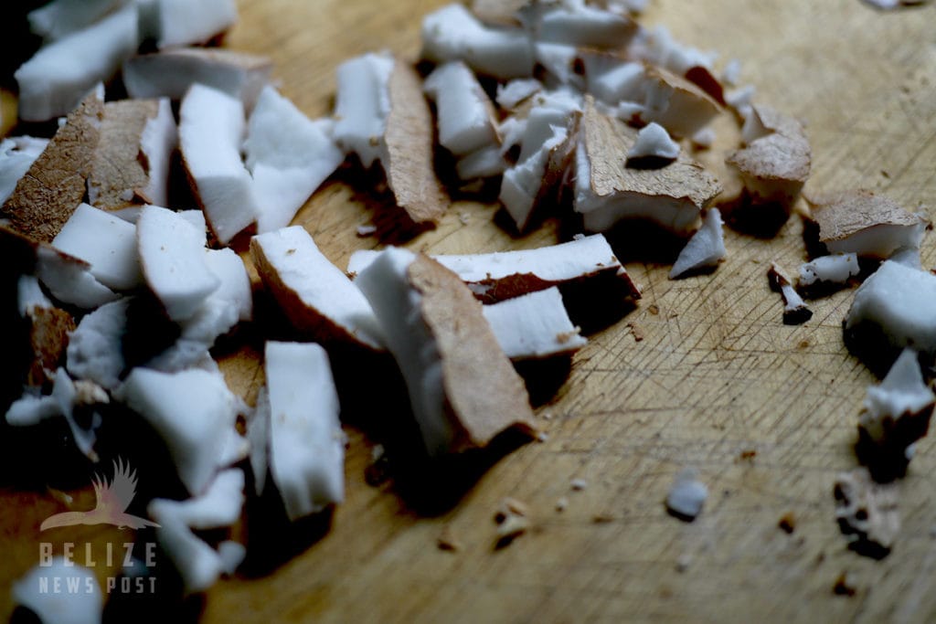Chunks of freshly harvested coconut meat ready for shredding. 