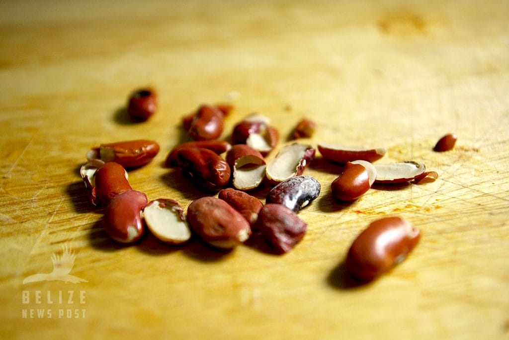 Belizean Stewed Beans