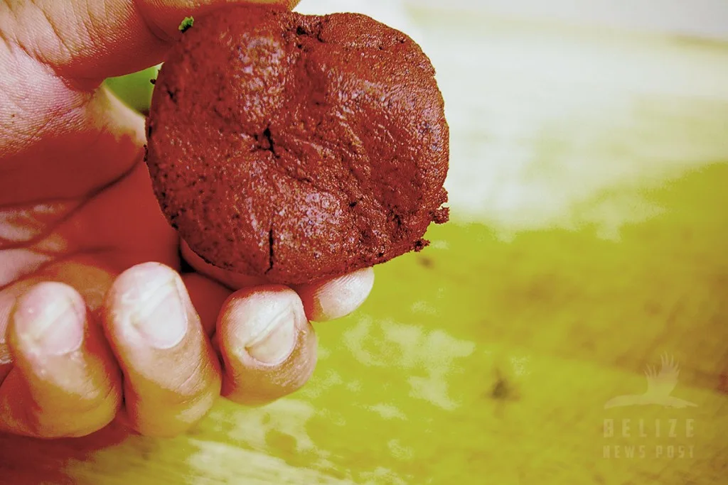 BBQ Chicken - red recado paste