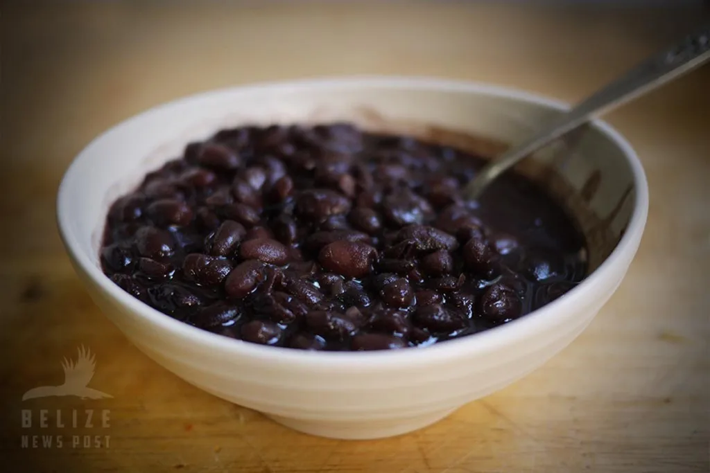Belizean refried black beans in a white bowl.