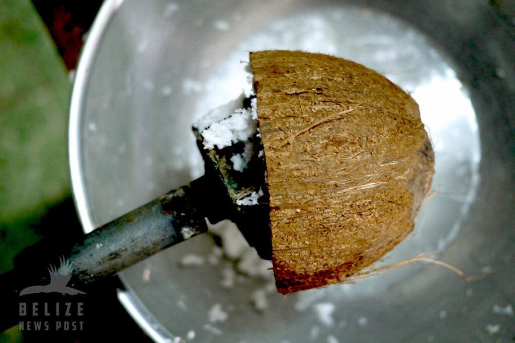 Belizean Coconut Crusts Recipe - Grating a Fresh Coconut