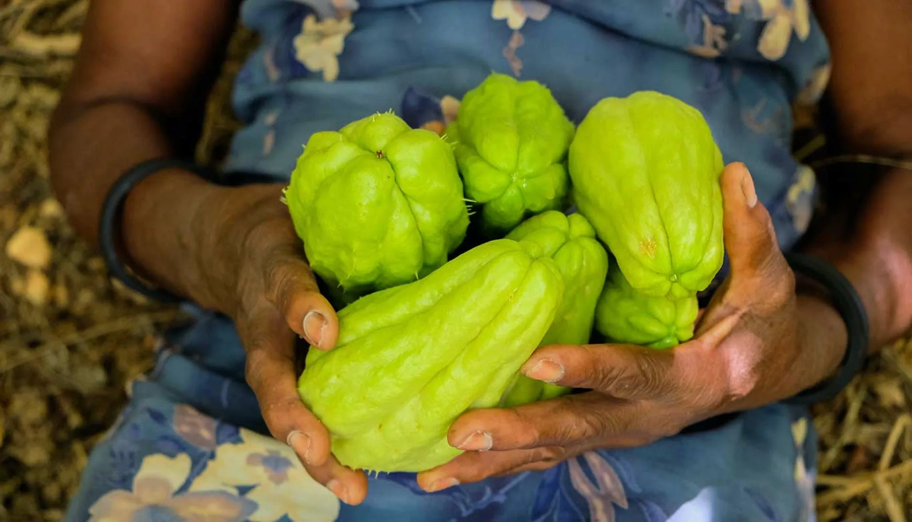 a person holding chayotes