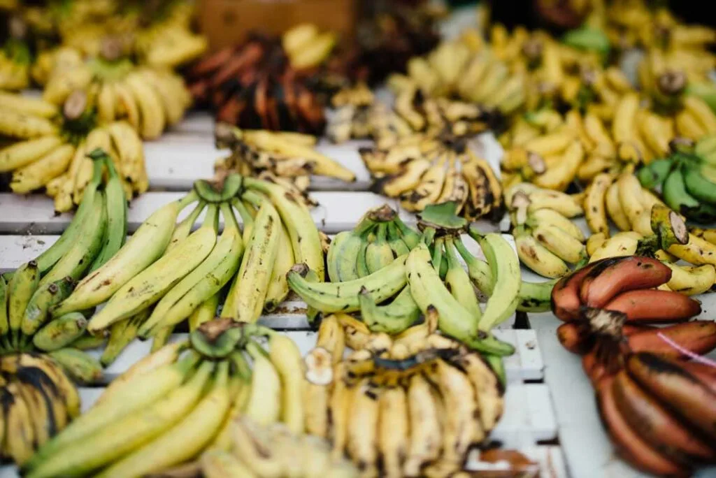 Hudutu Recipe Ingredients - Fresh Green Plantains - Belizean Recipe