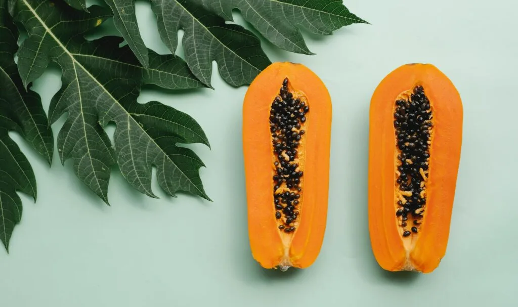 Fresh tropical fruit — papaya, mango, pineapple — for a Belizean breakfast