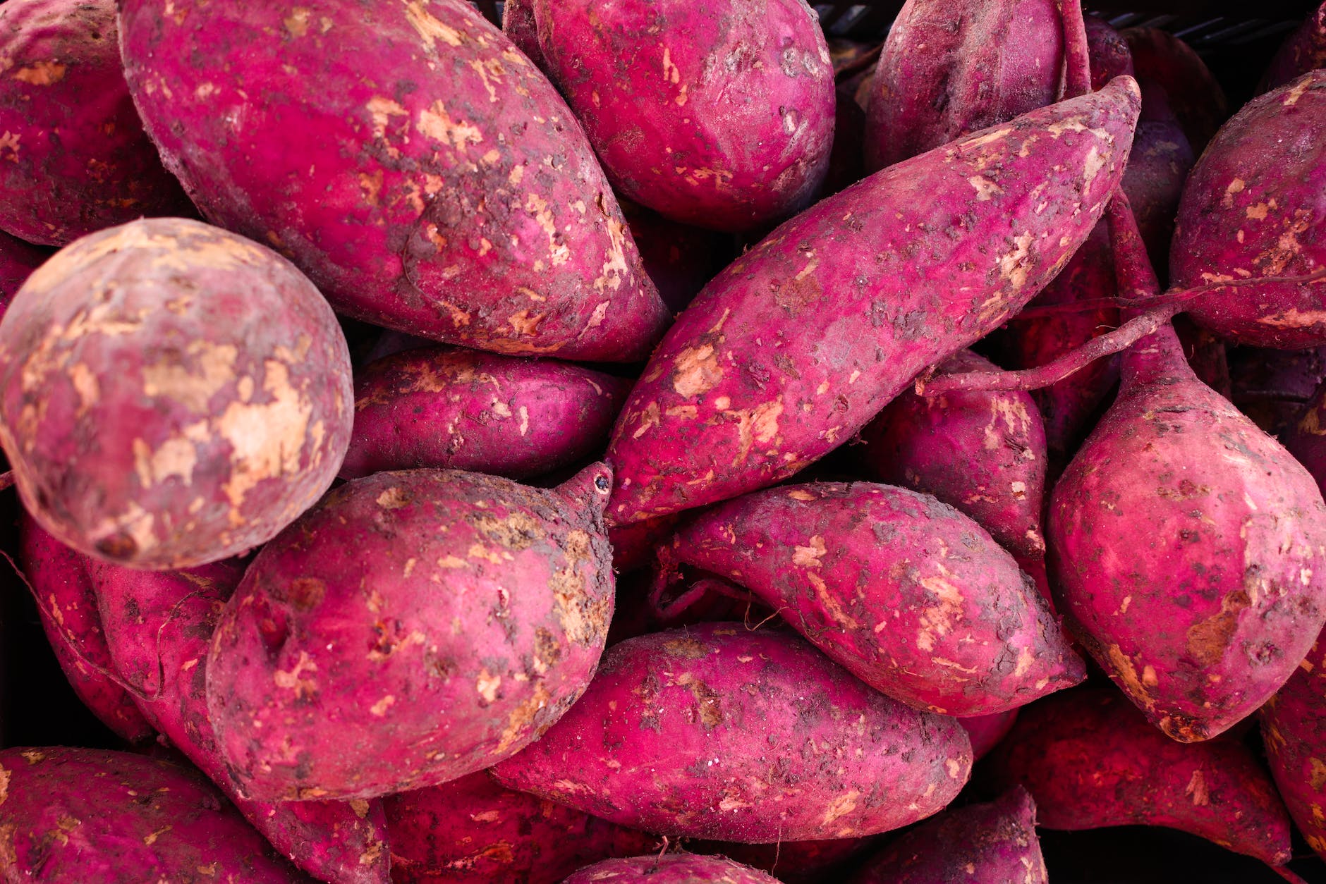 Belizean Sweet Potato Pone