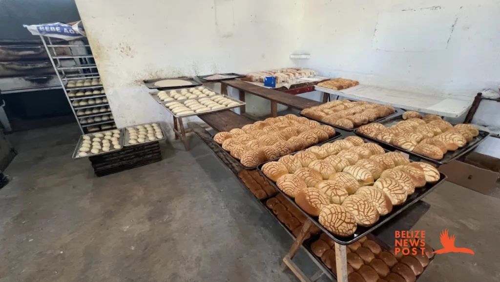 A Belizean Bakery in Corozal Town - Pan Dulce, Bollos, and Creole Bread