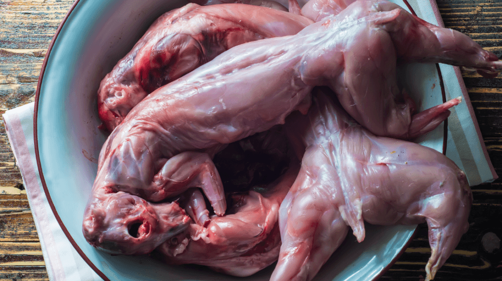 Gibnut Meat ready for Roasting - Belize Gibnut Recipe